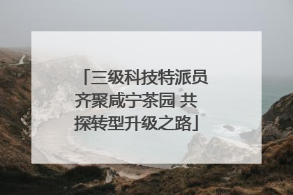三级科技特派员齐聚咸宁茶园 共探转型升级之路
