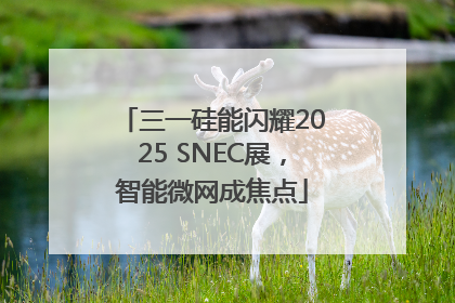 三一硅能闪耀2025 SNEC展，智能微网成焦点