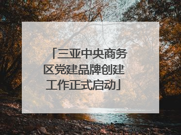 三亚中央商务区党建品牌创建工作正式启动
