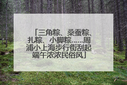三角粽、桑蚕粽、扎粽、小脚粽……周浦小上海步行街刮起端午浓浓民俗风