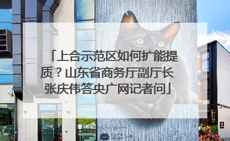 上合示范区如何扩能提质？山东省商务厅副厅长张庆伟答央广网记者问