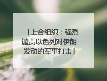 上合组织：强烈谴责以色列对伊朗发动的军事打击