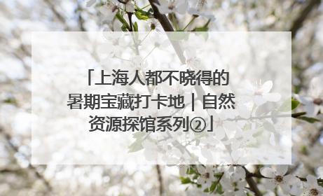 上海人都不晓得的 暑期宝藏打卡地｜自然资源探馆系列②