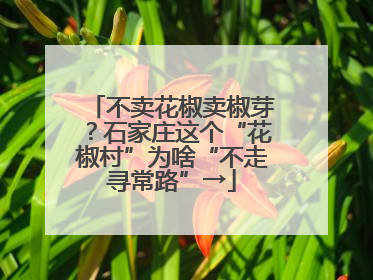 不卖花椒卖椒芽？石家庄这个“花椒村”为啥“不走寻常路”→