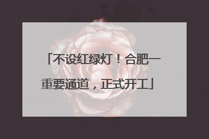 不设红绿灯！合肥一重要通道，正式开工