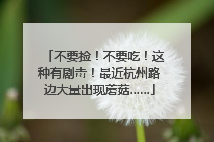 不要捡！不要吃！这种有剧毒！最近杭州路边大量出现蘑菇……