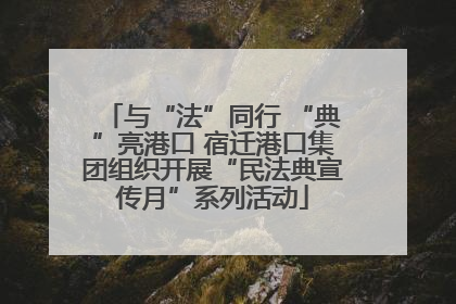 与“法”同行 “典”亮港口 宿迁港口集团组织开展“民法典宣传月”系列活动