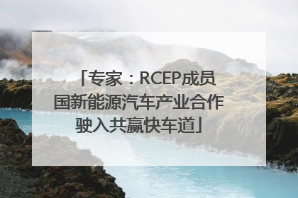 专家：RCEP成员国新能源汽车产业合作驶入共赢快车道