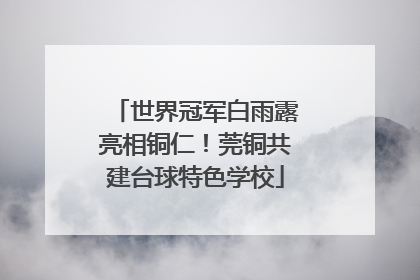 世界冠军白雨露亮相铜仁！莞铜共建台球特色学校