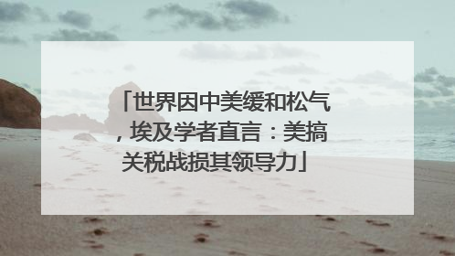 世界因中美缓和松气，埃及学者直言：美搞关税战损其领导力