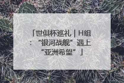 世俱杯巡礼｜H组：“银河战舰”遇上“亚洲希望”