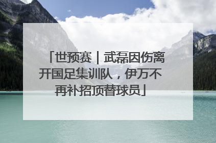 世预赛｜武磊因伤离开国足集训队，伊万不再补招顶替球员