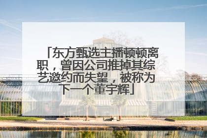东方甄选主播顿顿离职，曾因公司推掉其综艺邀约而失望，被称为下一个董宇辉
