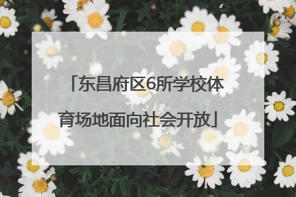 东昌府区6所学校体育场地面向社会开放