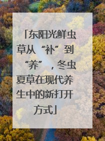 东阳光鲜虫草从“补”到“养”，冬虫夏草在现代养生中的新打开方式