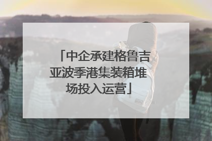 中企承建格鲁吉亚波季港集装箱堆场投入运营