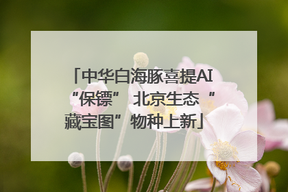 中华白海豚喜提AI“保镖” 北京生态“藏宝图”物种上新