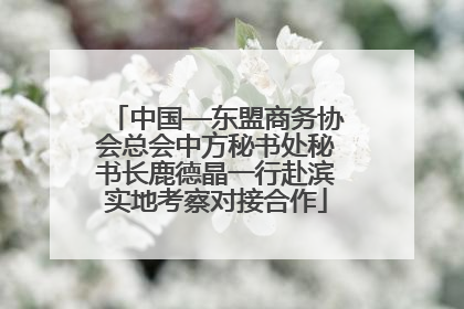 中国—东盟商务协会总会中方秘书处秘书长鹿德晶一行赴滨实地考察对接合作