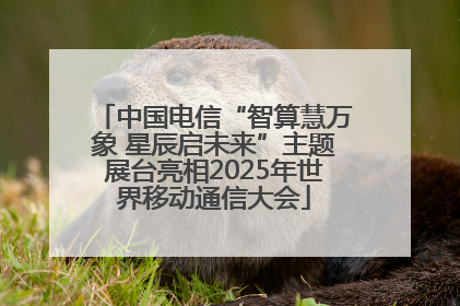 中国电信“智算慧万象 星辰启未来”主题展台亮相2025年世界移动通信大会