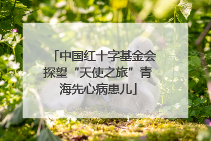 中国红十字基金会探望“天使之旅”青海先心病患儿