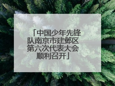 中国少年先锋队南京市建邺区第六次代表大会顺利召开