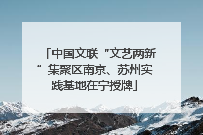 中国文联“文艺两新”集聚区南京、苏州实践基地在宁授牌