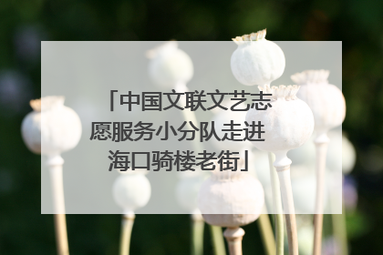 中国文联文艺志愿服务小分队走进海口骑楼老街