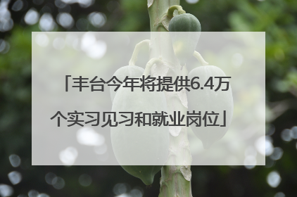 丰台今年将提供6.4万个实习见习和就业岗位