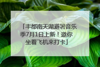 丰都南天湖避暑音乐季7月1日上新！邀你坐着飞机来打卡