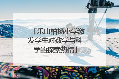 乐山柏杨小学激发学生对数学与科学的探索热情