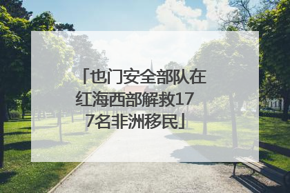 也门安全部队在红海西部解救177名非洲移民