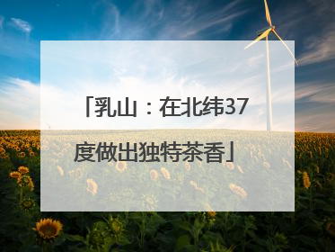 乳山：在北纬37度做出独特茶香
