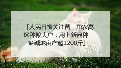 人民日报关注黄三角农高区种粮大户：用上新品种 盐碱地亩产超1200斤