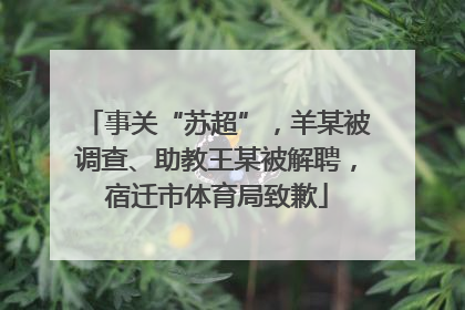 事关“苏超”，羊某被调查、助教王某被解聘，宿迁市体育局致歉