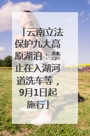 云南立法保护九大高原湖泊：禁止在入湖河道洗车等，9月1日起施行