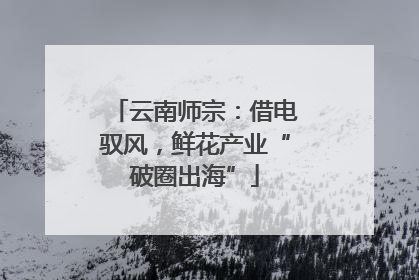 云南师宗：借电驭风，鲜花产业“破圈出海”