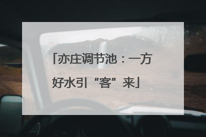 亦庄调节池：一方好水引“客”来