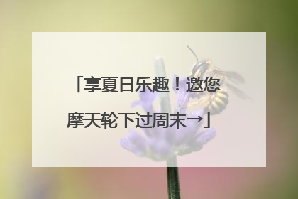 享夏日乐趣！邀您摩天轮下过周末→