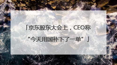 京东股东大会上，CEO称“今天用国补下了一单”