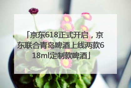 京东618正式开启，京东联合青岛啤酒上线两款618ml定制款啤酒