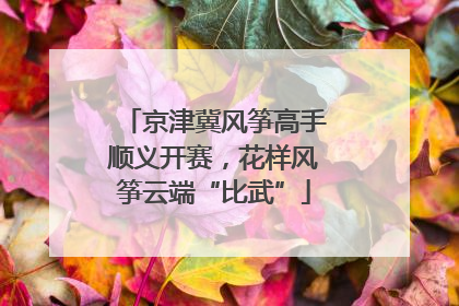 京津冀风筝高手顺义开赛，花样风筝云端“比武”