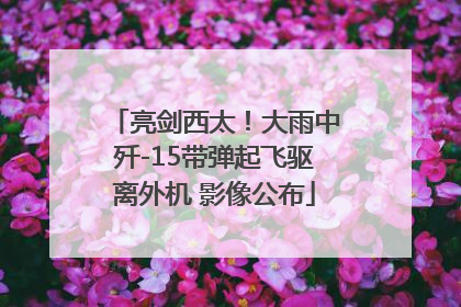 亮剑西太！大雨中歼-15带弹起飞驱离外机 影像公布