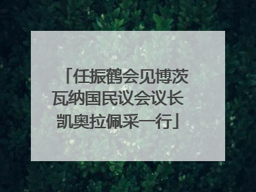 任振鹤会见博茨瓦纳国民议会议长凯奥拉佩采一行