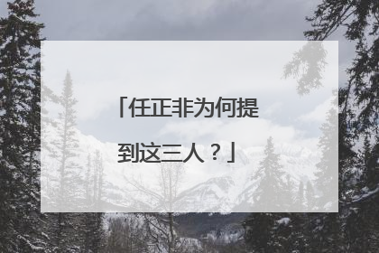任正非为何提到这三人？