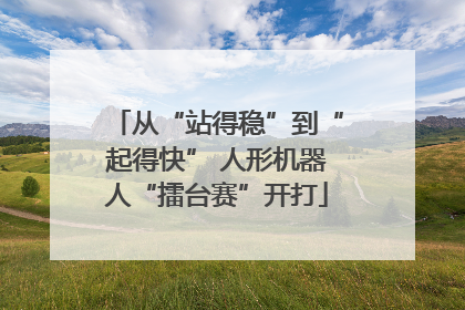 从“站得稳”到“起得快” 人形机器人“擂台赛”开打