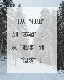 从“村超”到“苏超”，从“追球”到“追求”