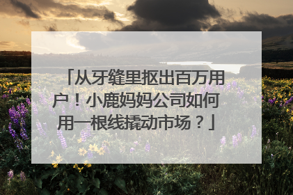 从牙缝里抠出百万用户！小鹿妈妈公司如何用一根线撬动市场？