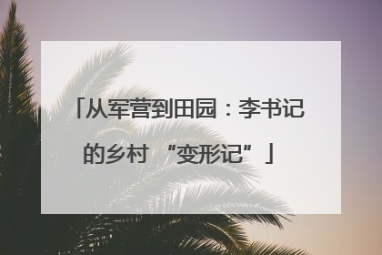 从军营到田园：李书记的乡村 “变形记”