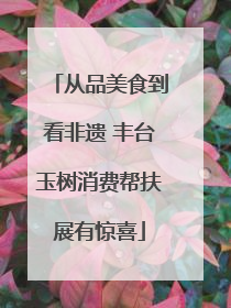 从品美食到看非遗 丰台玉树消费帮扶展有惊喜