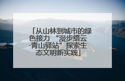 从山林到城市的绿色接力 “漫步缙云·青山驿站”探索生态文明新实践